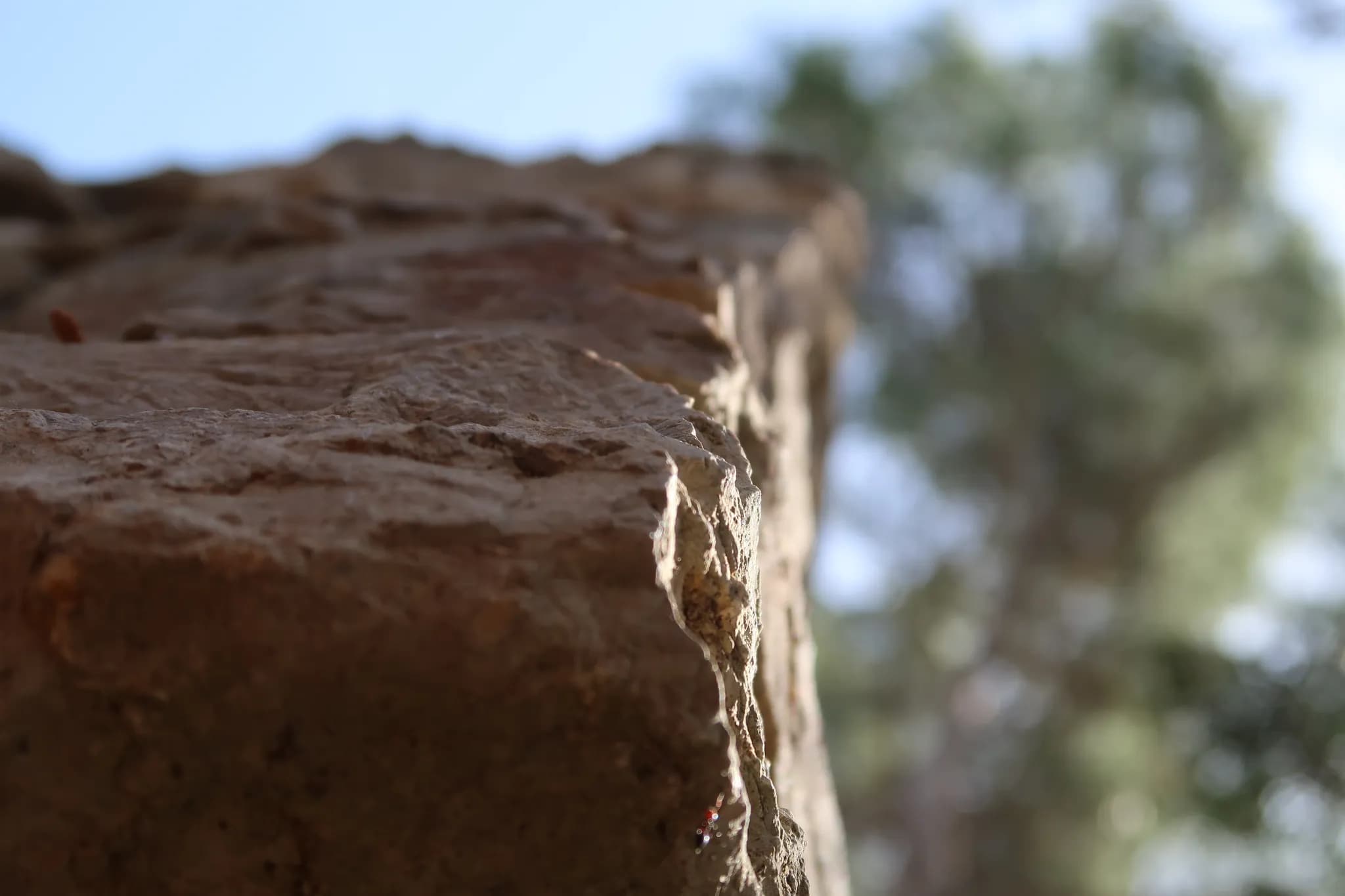 Texture d'ecorce en perspective